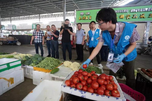 人大代表政協委員現場見證，食用農產品抽檢合格率百分百的背后