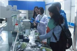 李忠副局長(zhǎng)率隊(duì)調(diào)研供深食用農(nóng)產(chǎn)品安全與研發(fā)工作，筑牢市民“舌尖上的防線”