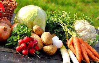 六旬夫妻的二畝菜園奇跡 從田間到餐桌的食用農產品研發致富路