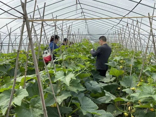 科技賦能，一碼溯源 食用農產品的電子身份證時代