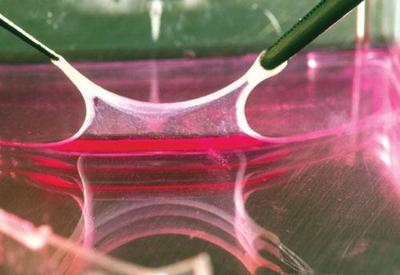 視頻_中國塑料機械網(wǎng)